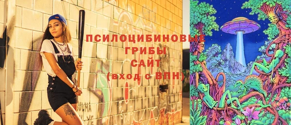 прущие грибы Дмитриев