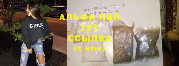 прущие грибы Дмитриев