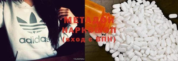 прущие грибы Дмитриев
