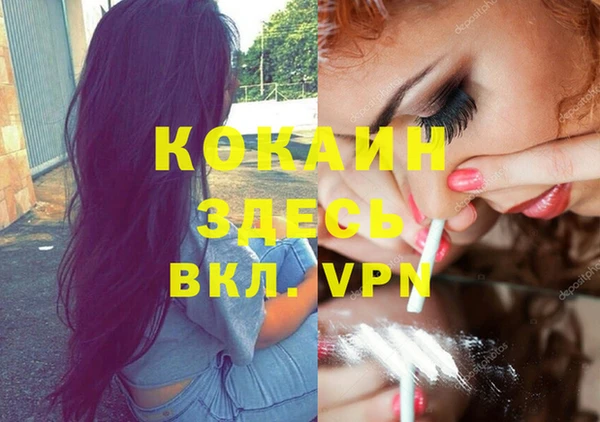 ПСИЛОЦИБИНОВЫЕ ГРИБЫ Дмитровск
