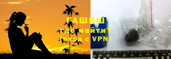прущие грибы Дмитриев