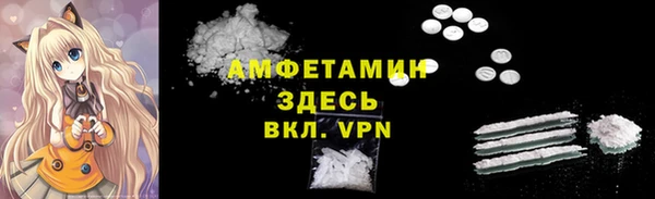 прущие грибы Дмитриев