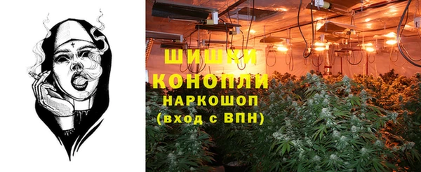 ПСИЛОЦИБИНОВЫЕ ГРИБЫ Дмитровск