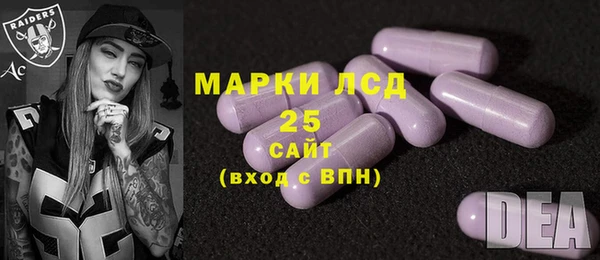 прущие грибы Дмитриев