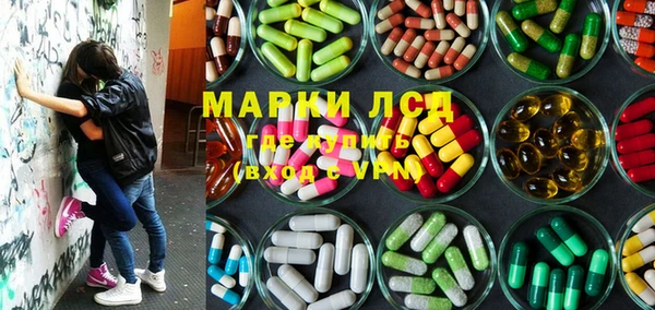 прущие грибы Дмитриев