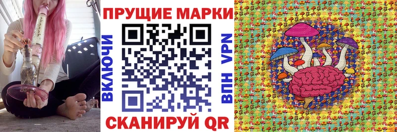 где можно купить наркотик  Карачаевск  Наркотические марки 1500мкг 