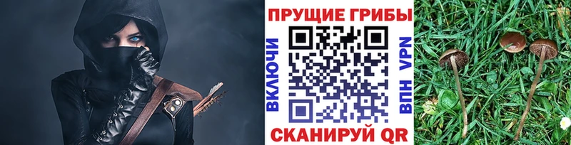 Псилоцибиновые грибы MAGIC MUSHROOMS  это как зайти  Карачаевск 