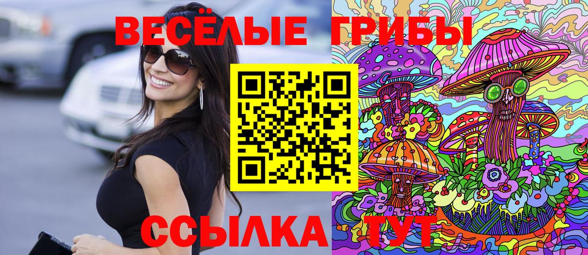 Галлюциногенные грибы ЛСД Карачаевск