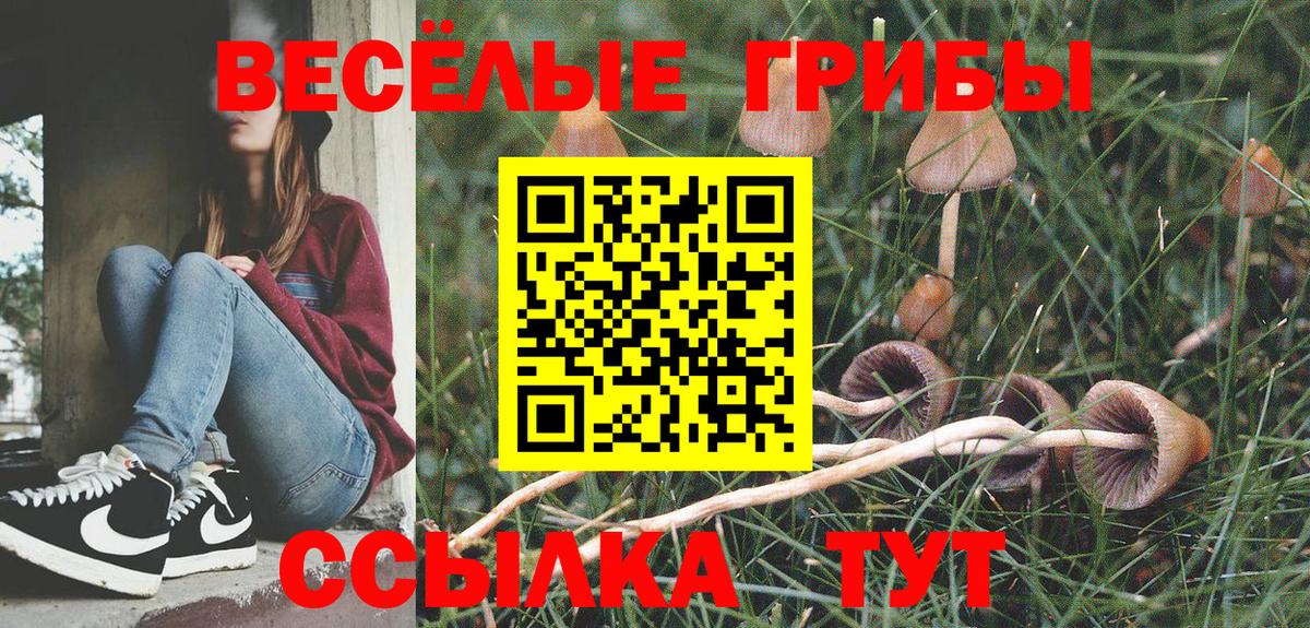 Галлюциногенные грибы мицелий  купить наркотики цена  Карачаевск  Вход с VPN 